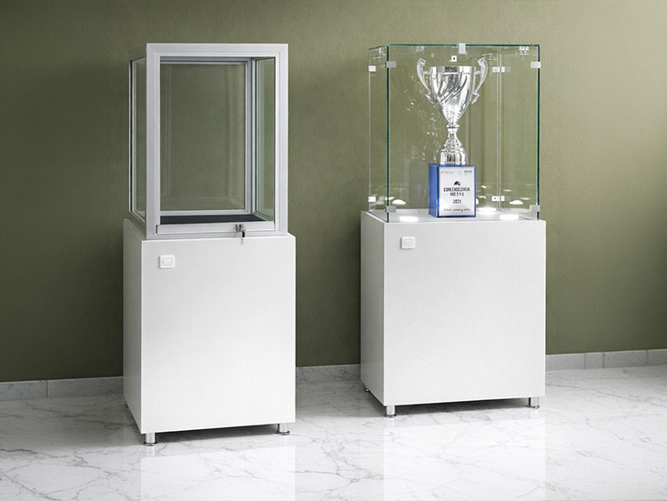 Vitrina Con Mueble